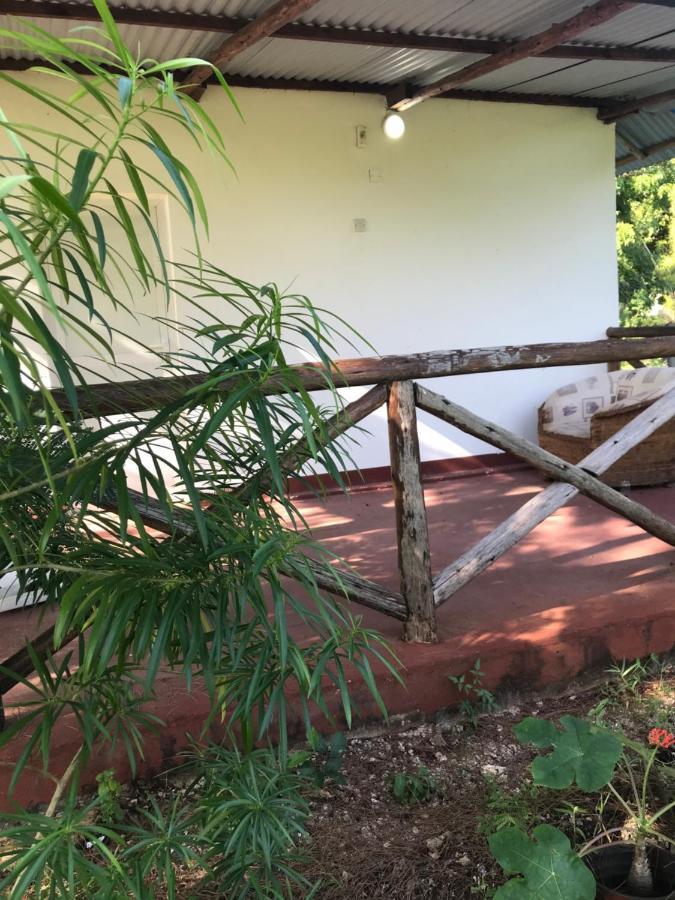 Apartament Tayana Place Kizimkazi Zewnętrze zdjęcie